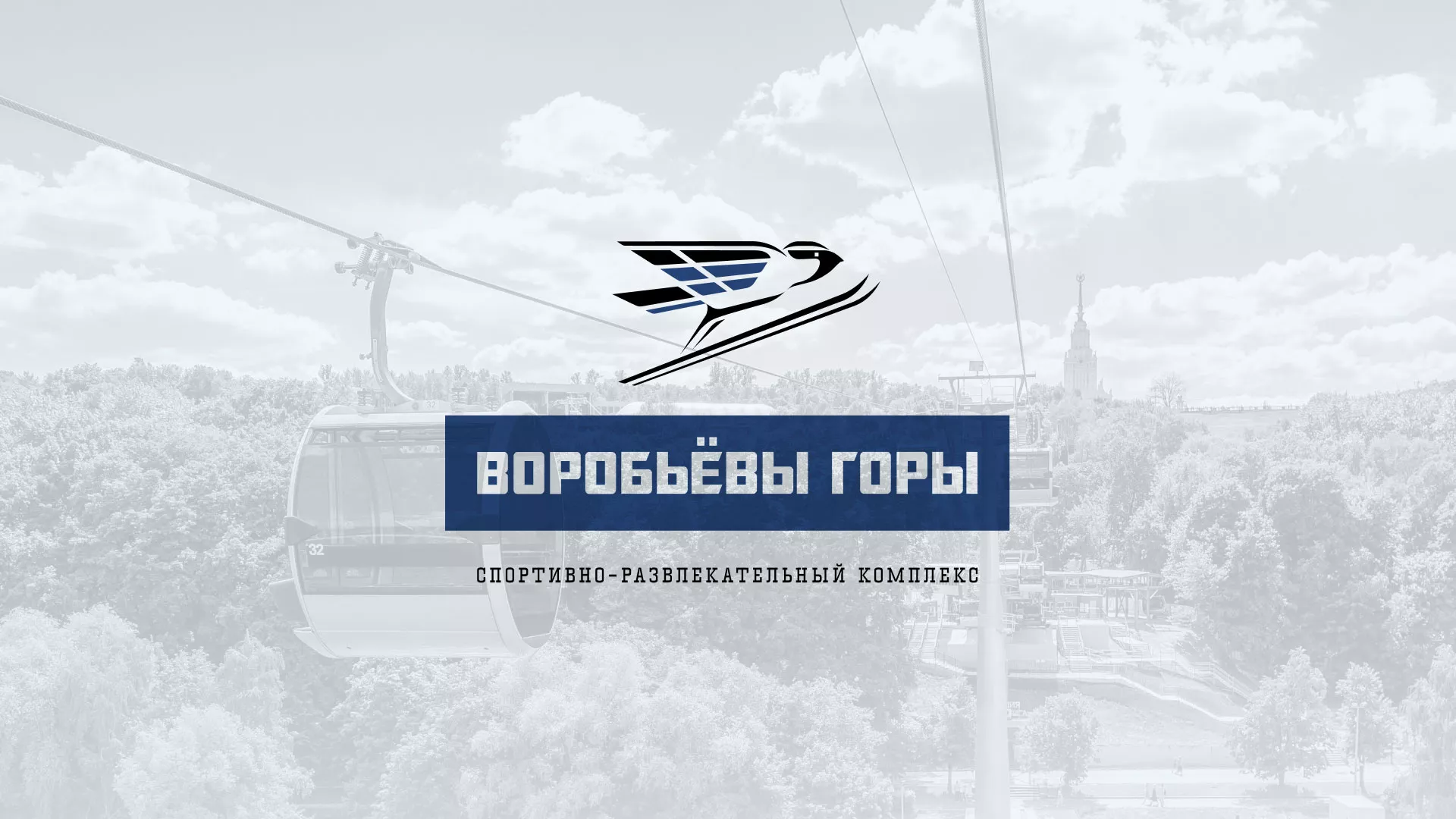 Разработка сайта в Плавске для спортивно-развлекательного комплекса «Воробьёвы горы»